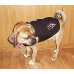 Kul Dawg Kotes KDK1 Small Dog Jacket