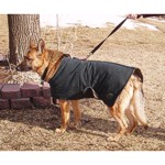 Kul Dawg Kotes KDK3 Medium/Large Dog Jacket with optional harness opening