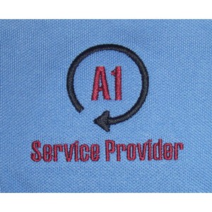 Logo 100 A1 Service Provider