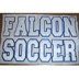 falcon_soccer_small.jpg