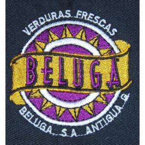 Logo 12 Beluga crest logo
