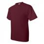 Hanes 5170 ComfortBlend EcoSmart T-Shirt 3