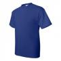 Hanes 5170 ComfortBlend EcoSmart T-Shirt 7