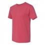Hanes 5170 ComfortBlend EcoSmart T-Shirt 11
