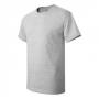Hanes 5250 Tagless T-Shirt 2