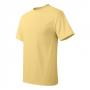 Hanes 5250 Tagless T-Shirt 7