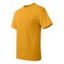 Hanes 5250 Tagless T-Shirt 13