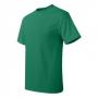 Hanes 5250 Tagless T-Shirt 14