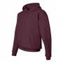 Hanes P170 ComfortBlend EcoSmart Hooded Sweatshirt 11