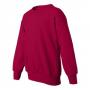 Hanes P360 ComfortBlend EcoSmart Youth Sweatshirt 4